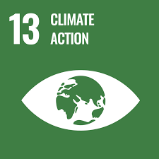 Sustainable Development Goals 13 icon UN SDG logo for Silambam