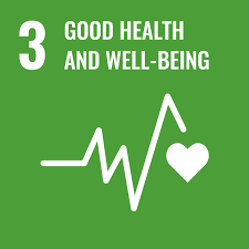 Sustainable Development Goals 3 icon UN SDG logo for Silambam